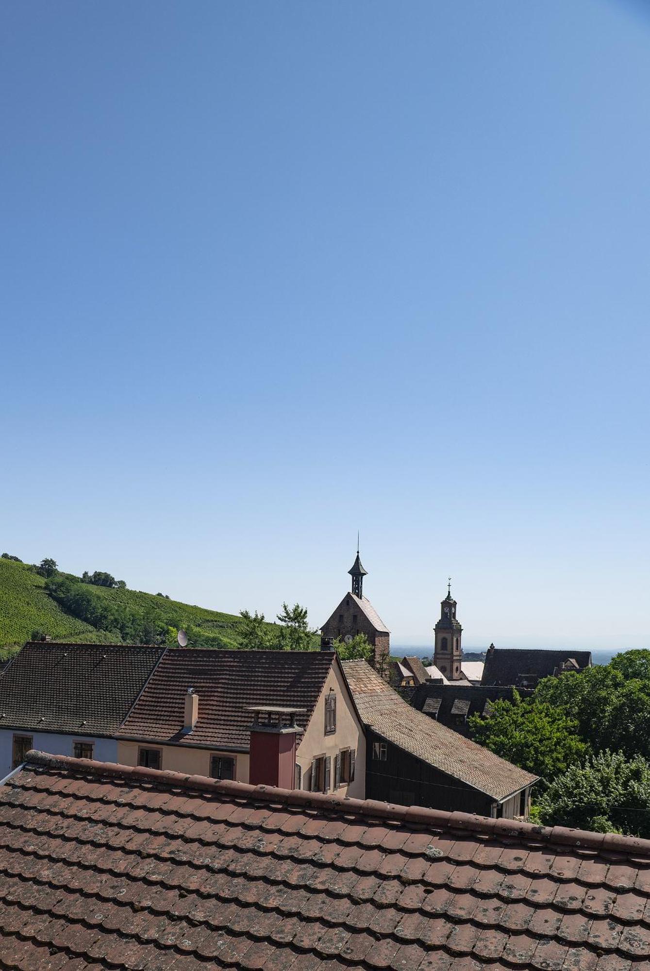 Riesling - Vue Imprenable Sur Le Vignoble - Renove Recemment - Parking Gratuit Leilighet Riquewihr Eksteriør bilde