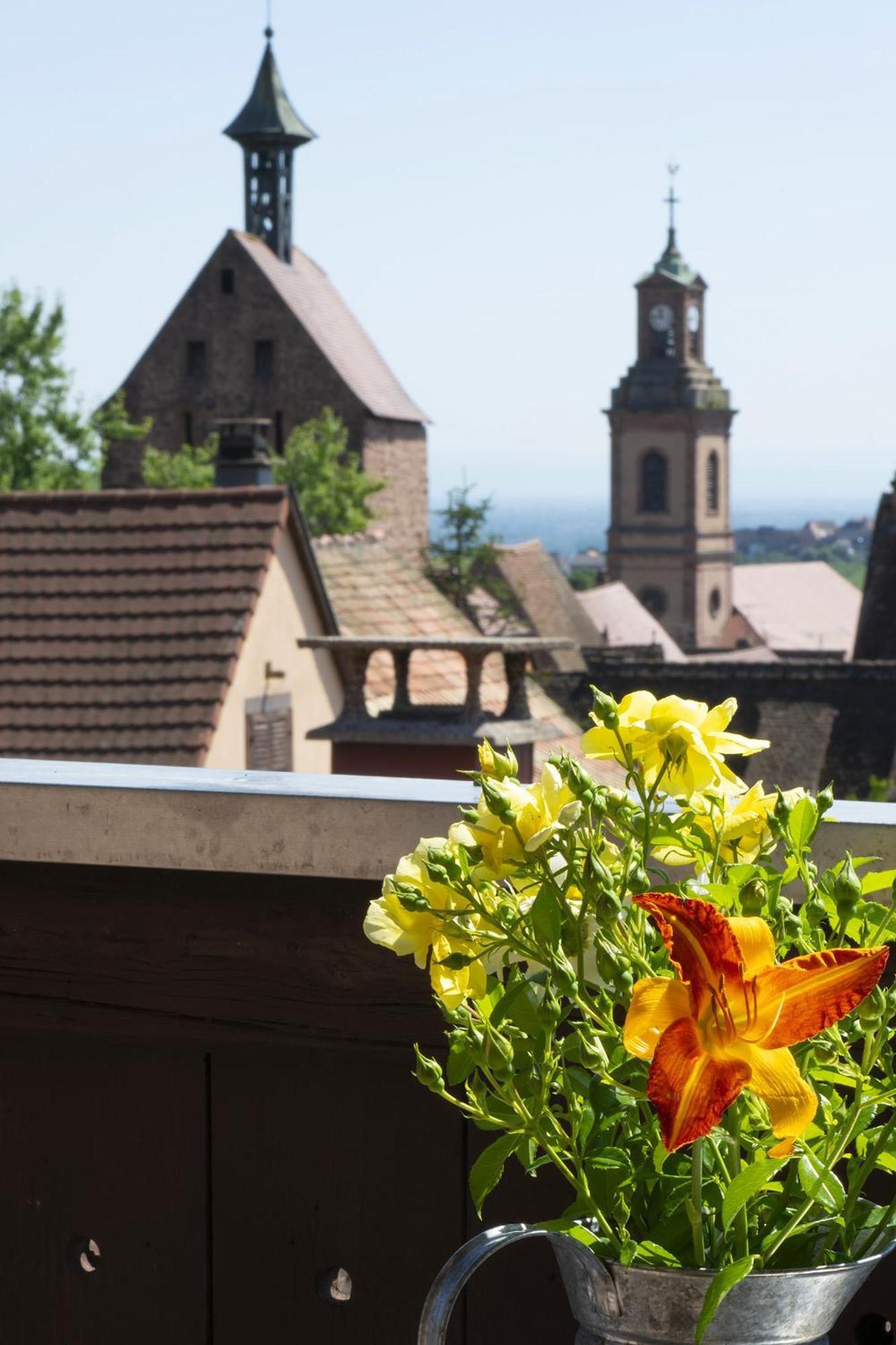 Riesling - Vue Imprenable Sur Le Vignoble - Renove Recemment - Parking Gratuit Leilighet Riquewihr Eksteriør bilde