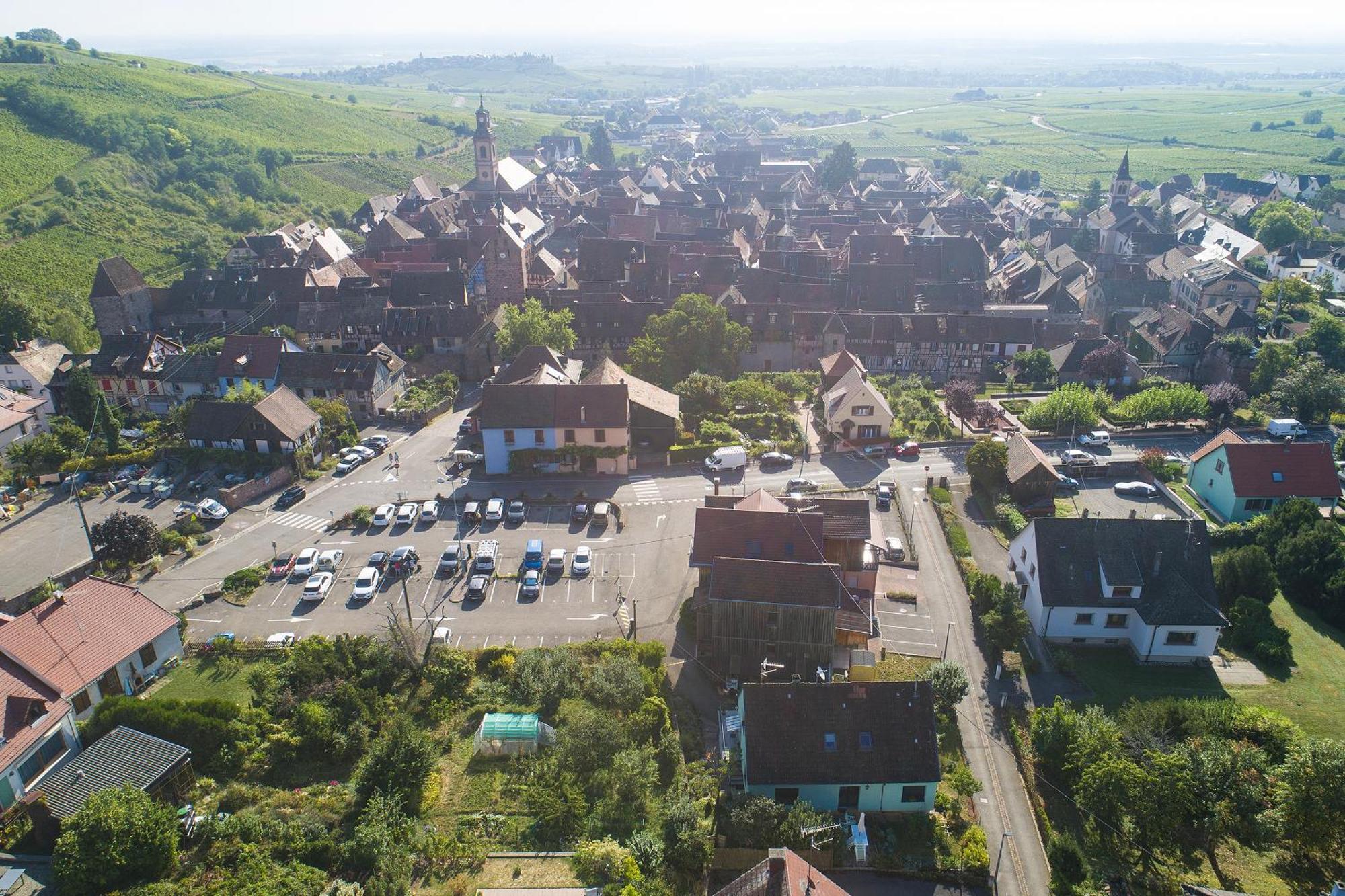 Riesling - Vue Imprenable Sur Le Vignoble - Renove Recemment - Parking Gratuit Leilighet Riquewihr Eksteriør bilde